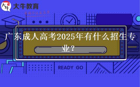 廣東成人高考2025年有什么招生專業(yè)？