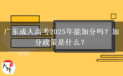 廣東成人高考2025年能加分嗎？加分政策是什么？