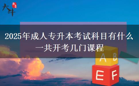2025年成人專升本考試科目有什么 一共開考幾門課程