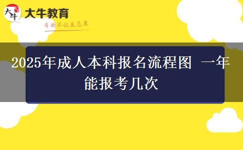 2025年成人本科報(bào)名流程圖 一年能報(bào)考幾次