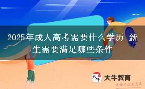 2025年成人高考需要什么學(xué)歷 新生需要滿(mǎn)足哪些條件