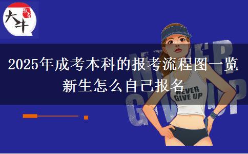 2025年成考本科的報考流程圖一覽 新生怎么自己報名