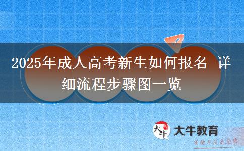 2025年成人高考新生如何報名 詳細流程步驟圖一覽