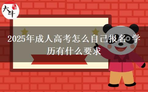 2025年成人高考怎么自己報(bào)名 學(xué)歷有什么要求