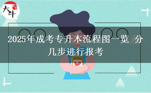2025年成考專升本流程圖一覽 分幾步進行報考