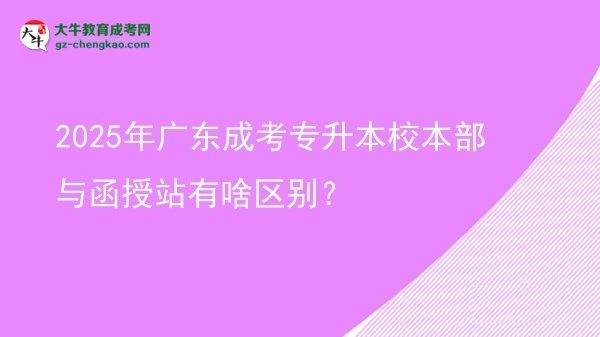 2025年廣東成考專升本校本部與函授站有啥區(qū)別？圖片