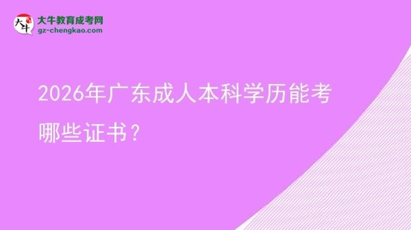 2026年廣東成人本科學歷能考哪些證書？圖片
