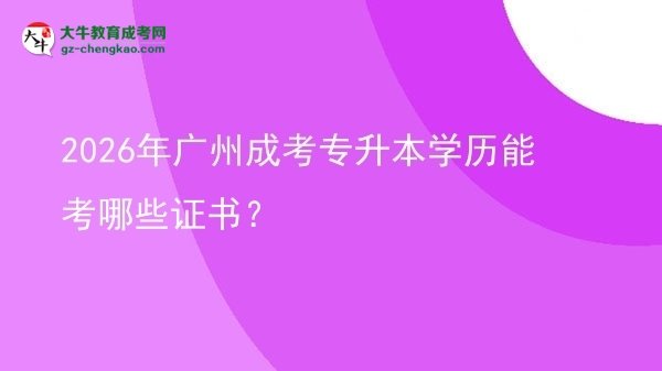 2026年廣州成考專升本學(xué)歷能考哪些證書？圖片