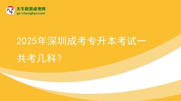 2025年深圳成考專升本考試一共考幾科？圖片