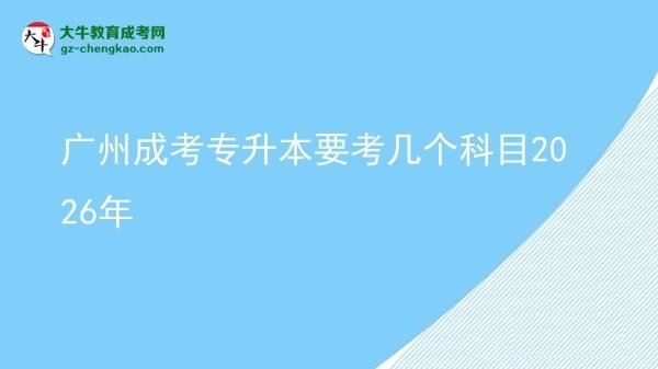 廣州成考專升本要考幾個(gè)科目2026年圖片